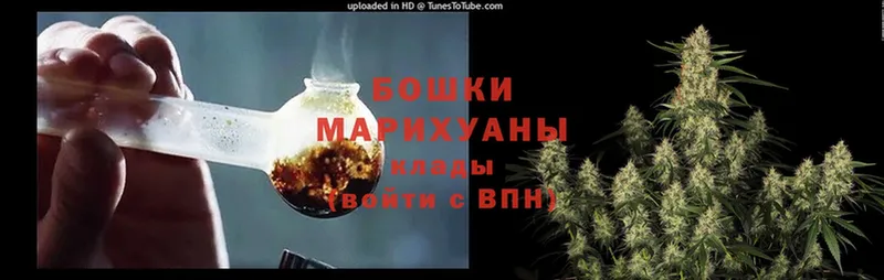 Шишки марихуана гибрид  Сафоново 